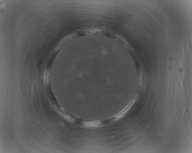 X0000081310191200702012343