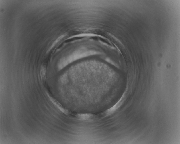 X0000081310192200702012343