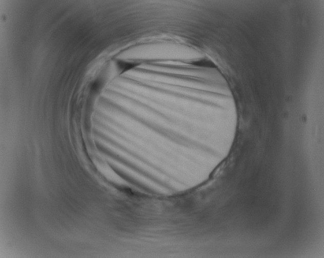 X0000081310193200702012343