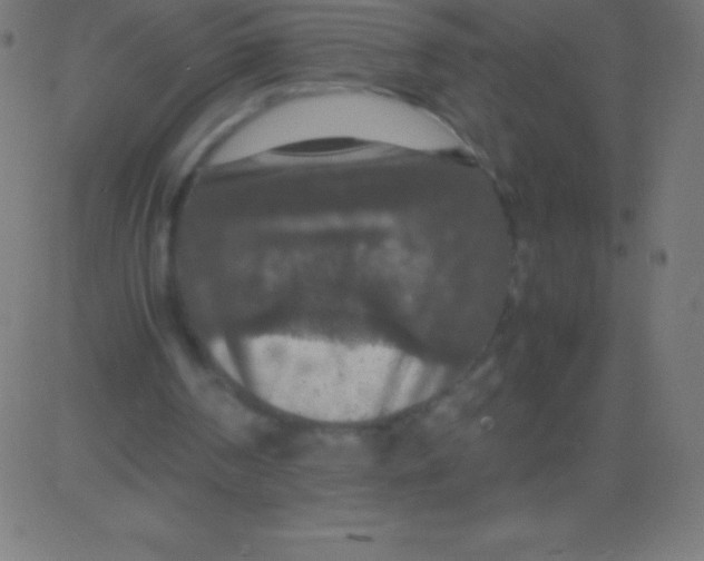 X0000081310194200702012343