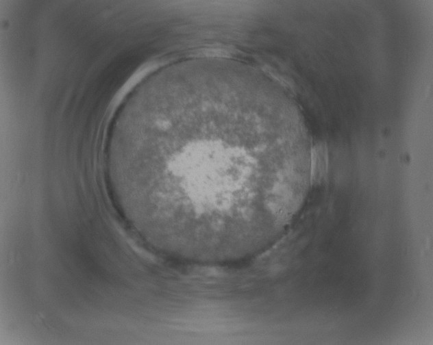 X0000081310195200702012343