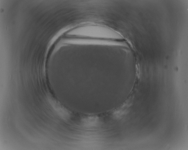 X0000081310196200702012343