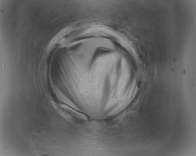 X0000081310197200702012343