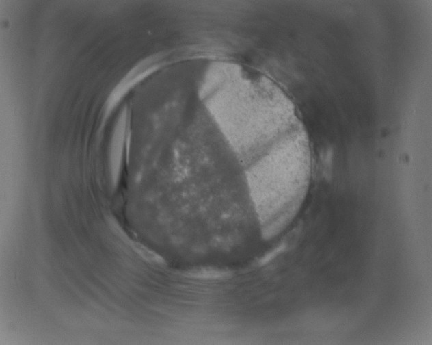 X0000081310198200702012343