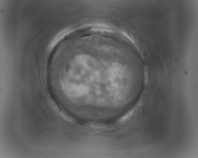 X0000081310199200702012343