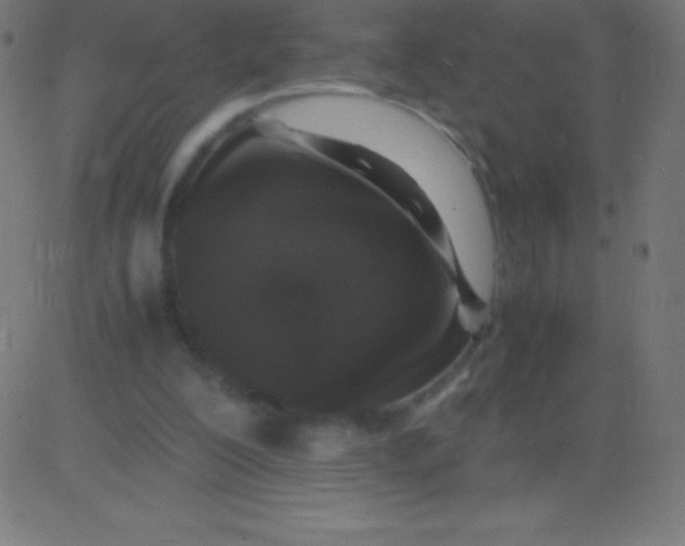 X0000081310200200702012343