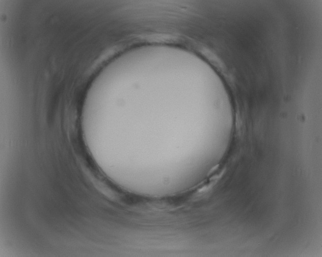 X0000081310201200702012343