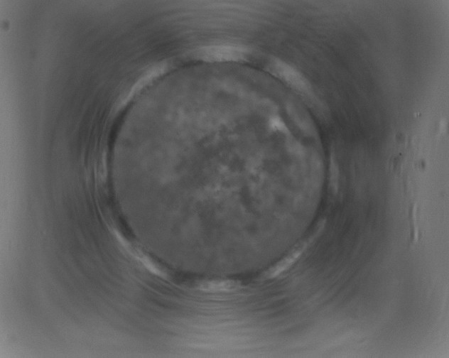 X0000081310202200702012343