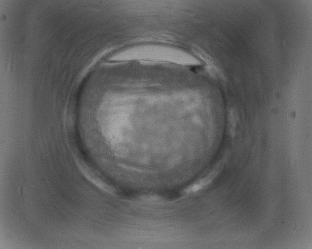 X0000081310203200702012343