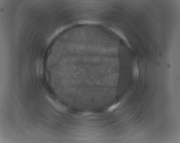 X0000081310204200702012343