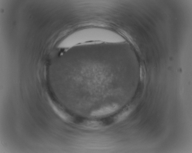 X0000081310205200702012342