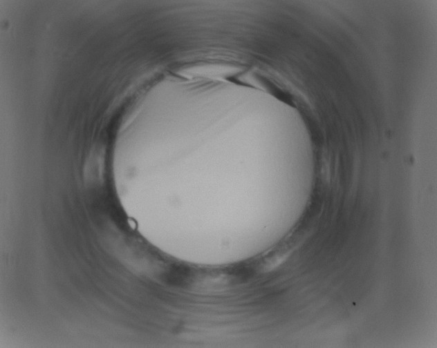 X0000081310206200702012342