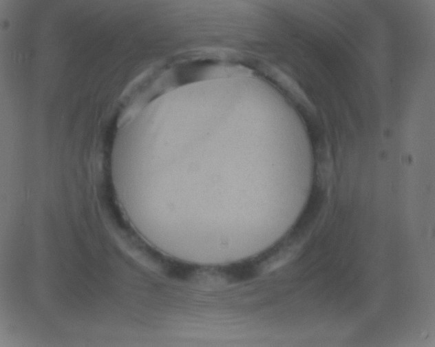 X0000081310207200702012342