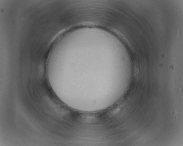 X0000081310208200702012342