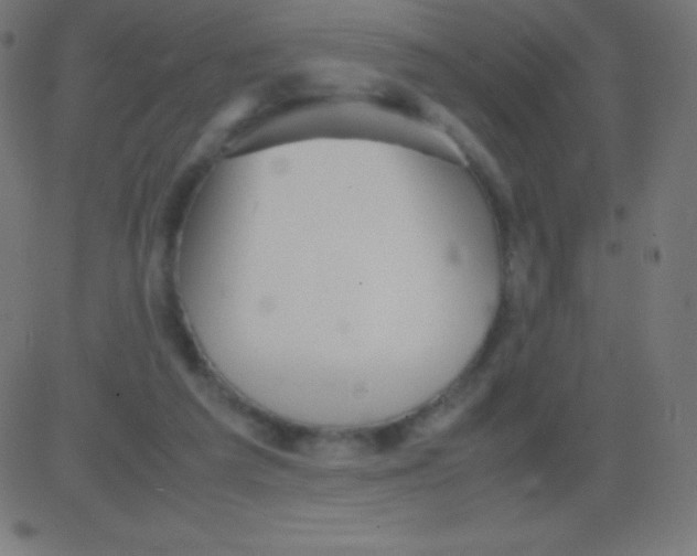 X0000081310209200702012342