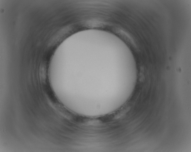 X0000081310210200702012342