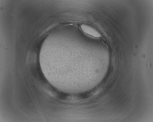 X0000081310211200702012342