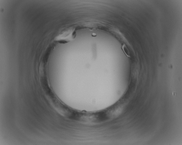 X0000081310213200702012342