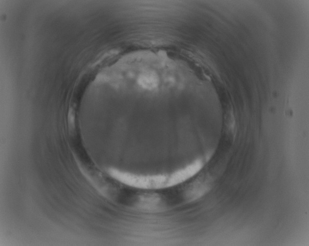 X0000081310214200702012342