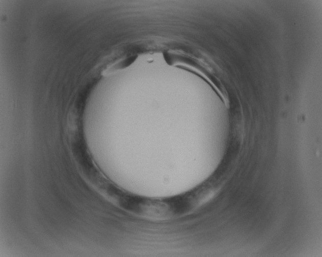 X0000081310215200702012342