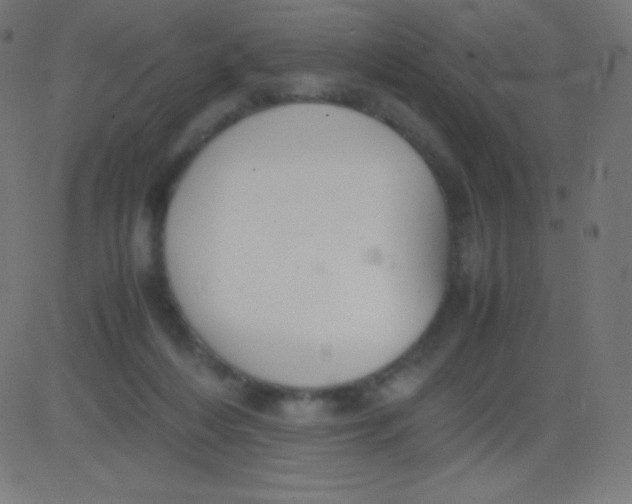 X0000081310216200702012342