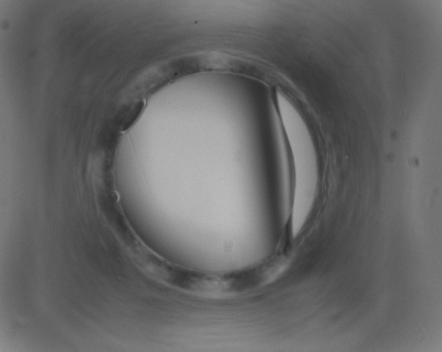 X0000081310217200702012342