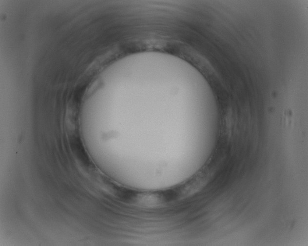 X0000081310218200702012342