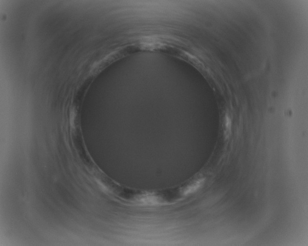 X0000081310219200702012342