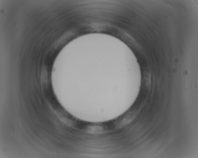 X0000081310220200702012342