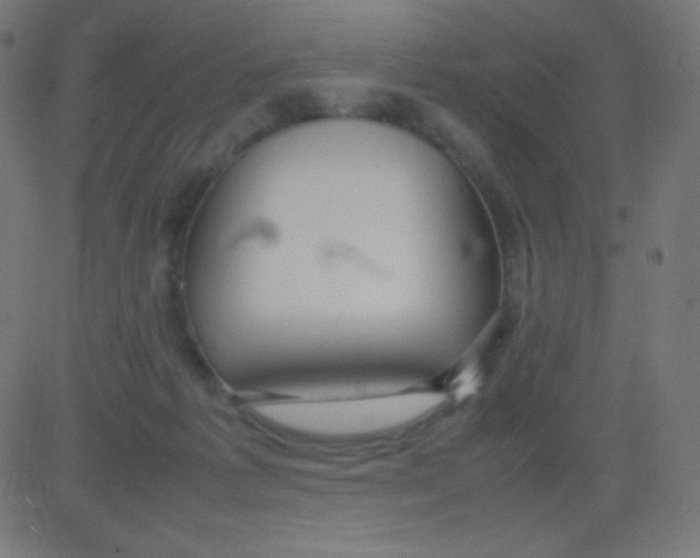 X0000081310221200702012342