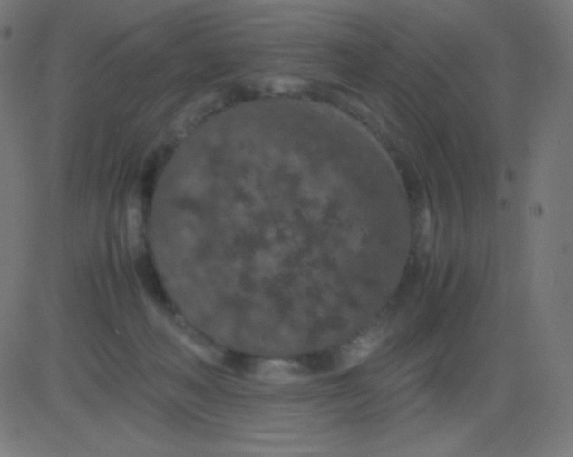 X0000081310222200702012342