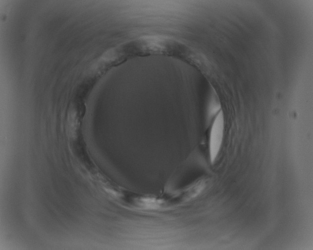 X0000081310223200702012342