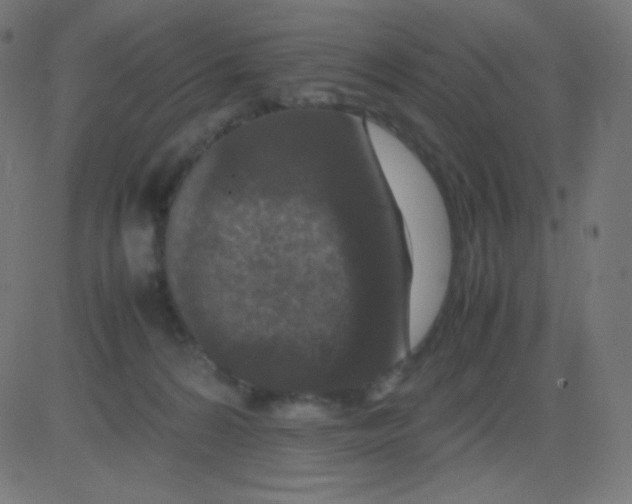 X0000081310224200702012342