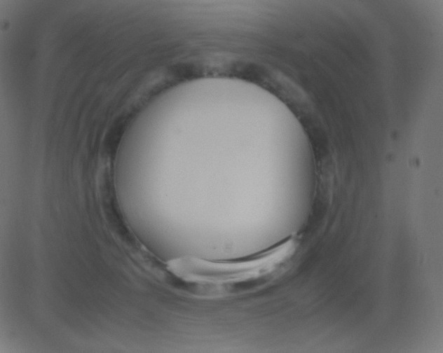 X0000081310225200702012342