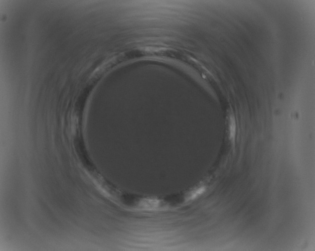 X0000081310227200702012342