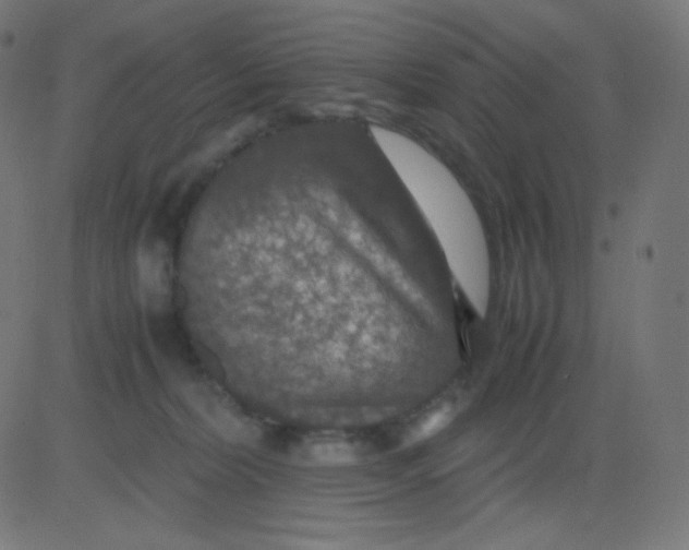 X0000081310228200702012342