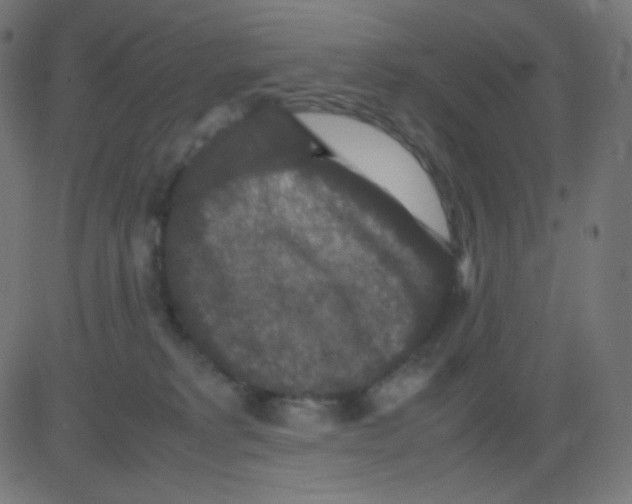 X0000081310229200702012342