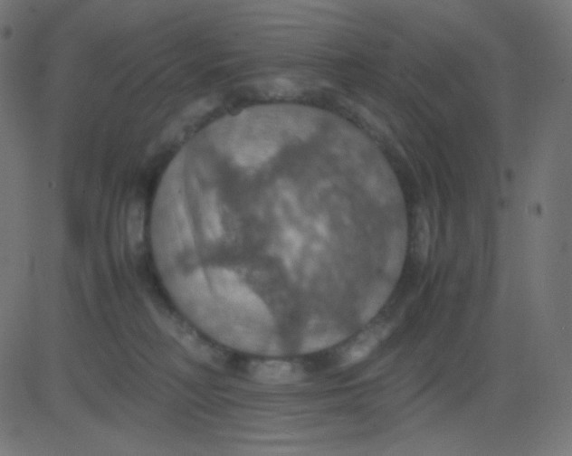 X0000081310230200702012342