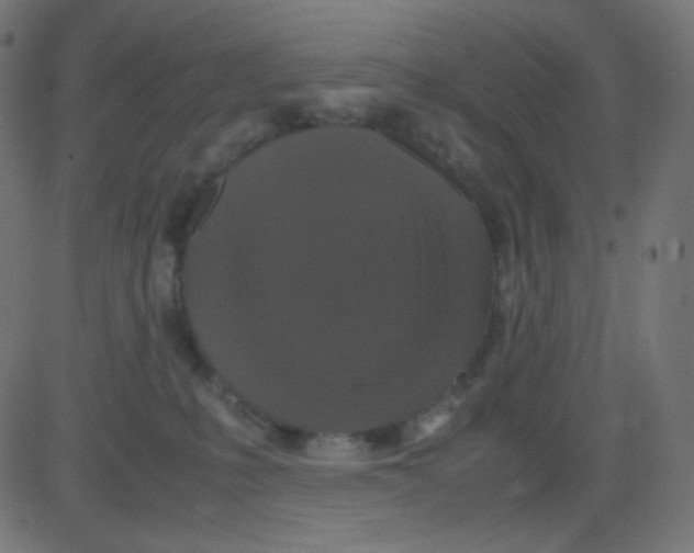 X0000081310231200702012342