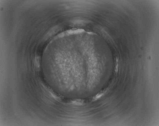 X0000081310232200702012342