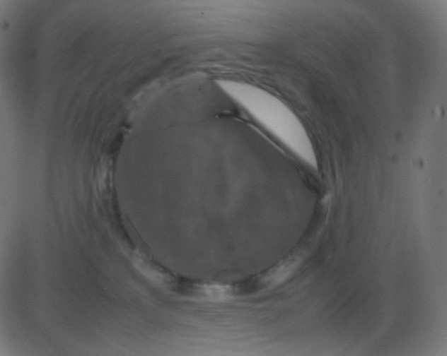 X0000081310233200702012342