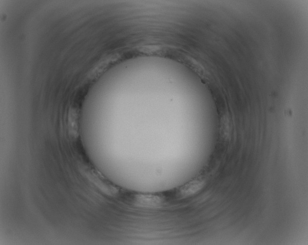 X0000081310234200702012342