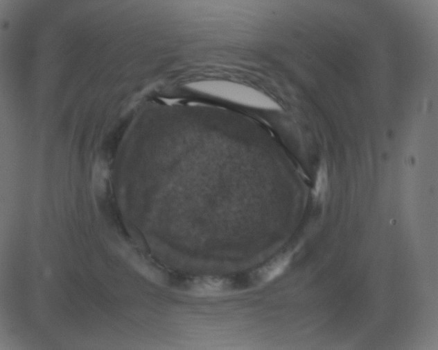 X0000081310235200702012342