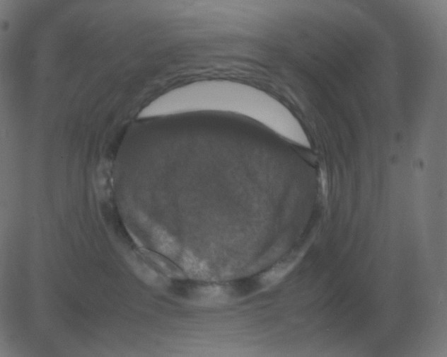 X0000081310237200702012342