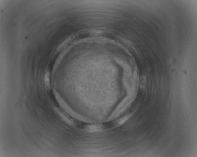 X0000081310238200702012342