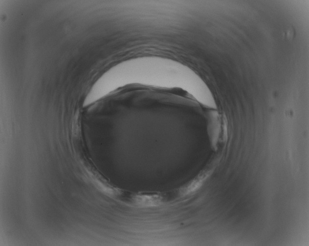 X0000081310239200702012342