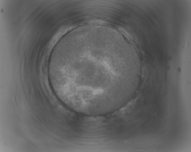 X0000081310241200702012341