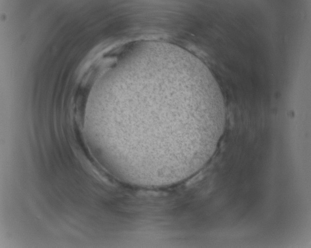 X0000081310242200702012341