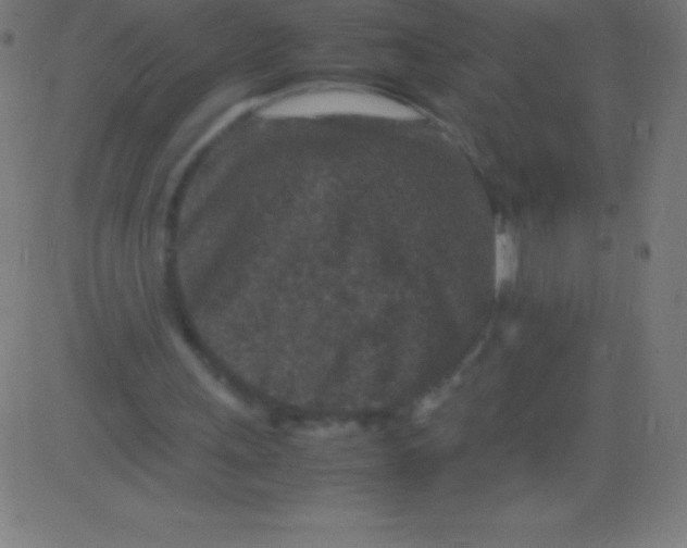 X0000081310243200702012341