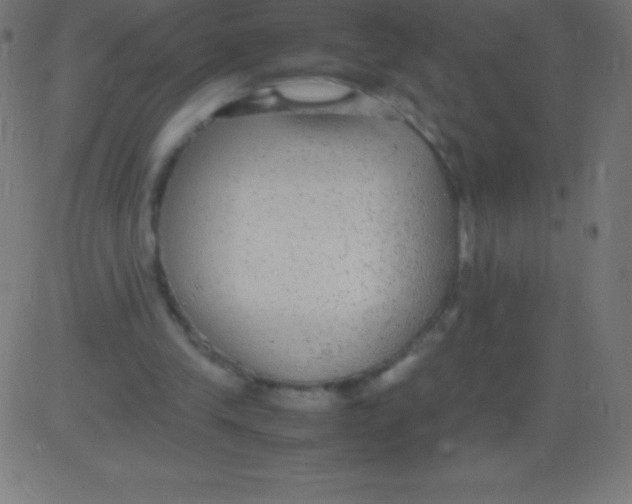 X0000081310245200702012341